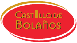 El Castillo de Bolaños